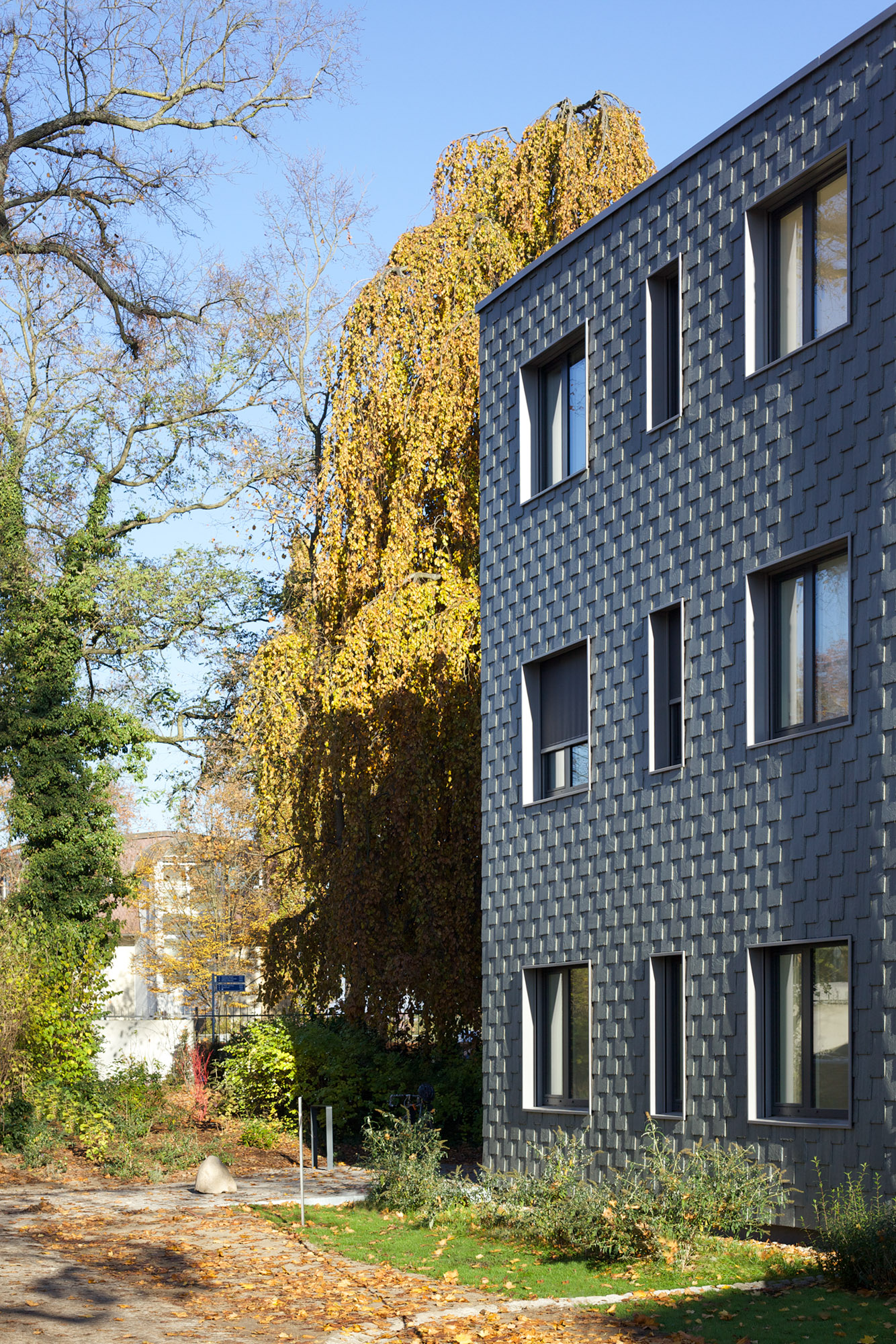 Holzbau Atlas Berlin Brandenburg — Wohnen am Kleinen ...